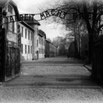 Auschwitz & Birkenau Museum Guided Tour from Krakow with Tickets - Practical Details & FAQs