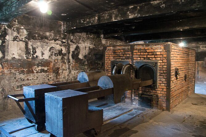 Auschwitz Birkenau Museum Tour from Krakow - The Pros and Cons Based on Real Experiences