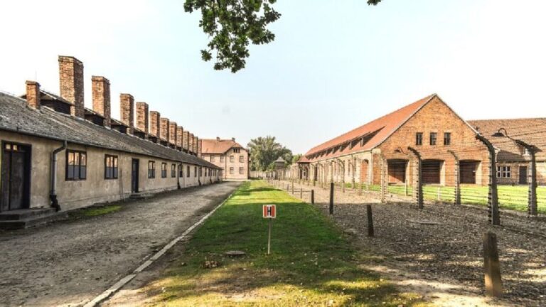 Auschwitz-Birkenau Museum Tour from Krakow - What to Expect at Auschwitz