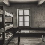 Auschwitz-Birkenau & Salt Mine Tour in One Day from Krakow - Practical Details and Tips