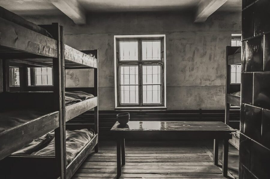 Auschwitz-Birkenau & Salt Mine Tour in One Day from Krakow - Practical Details and Tips