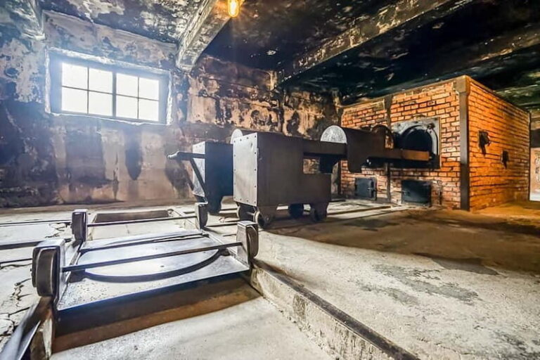 Auschwitz-Birkenau Skip-the-Line Guided Tour - Who Is This Tour Best For?