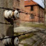 Auschwitz-Birkenau Skip-the-Line Ticket and Guided Tour - Who is this tour best for?