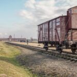 Auschwitz-Birkenau: Skip-the-Line Ticket and Guided Tour - Who Will Appreciate This Tour?