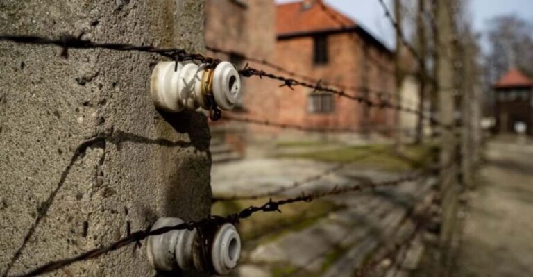 Auschwitz-Birkenau Skip-the-Line Ticket and Guided Tour - Who is this tour best for?