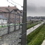 Auschwitz & Birkenau Small Group Live Guided Tour with Hotel Pick Up Transport - How This Tour Adds Value