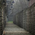 Auschwitz-Birkenau Tour from Wrocaw - FAQs