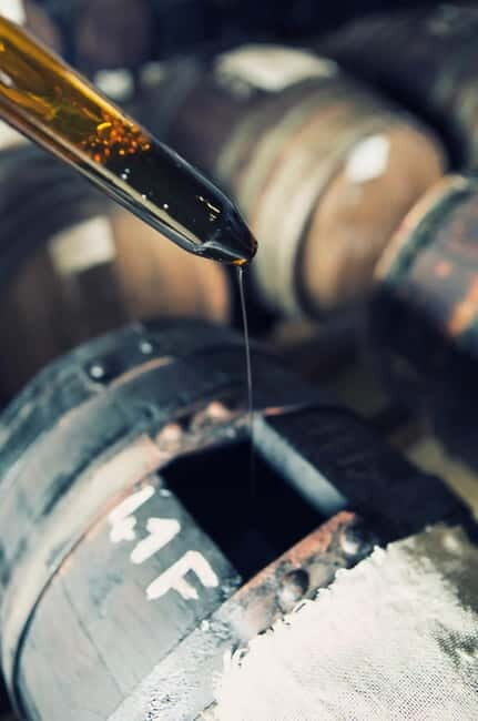 Authentic Balsamic Vinegar Tour & Tasting in Modena - What Makes This Tour Stand Out?