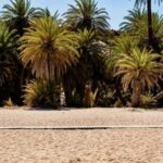 Authentic Crete: Cretan Honey & Wine Tasting & Village Tour - Visiting the Serene Saint George Epanosifis Monastery