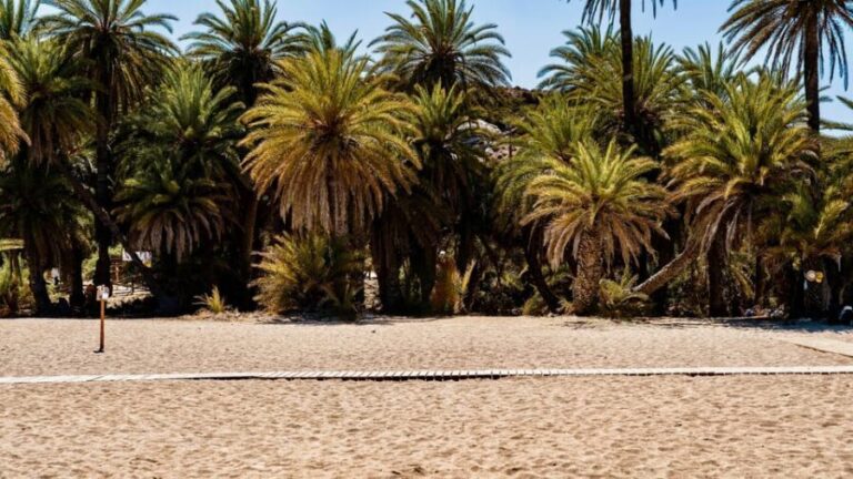 Authentic Crete: Cretan Honey & Wine Tasting & Village Tour - Visiting the Serene Saint George Epanosifis Monastery