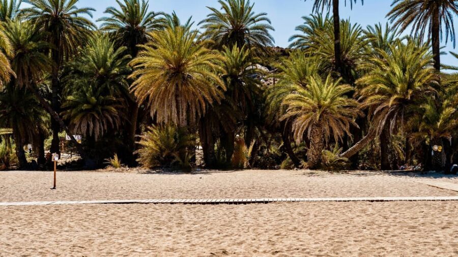 Authentic Crete: Cretan Honey & Wine Tasting & Village Tour - Visiting the Serene Saint George Epanosifis Monastery