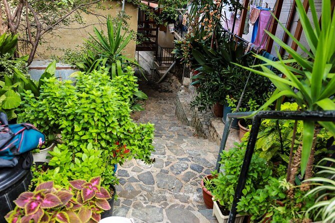 Authentic Gourmet Tour with Wine and Food Tasting from Paphos - What We Love About This Tour