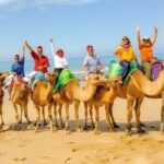 Authentic Private Tangier Tour from Marbella Camel Ride & Lunch - What We Think About the Price and Overall Value