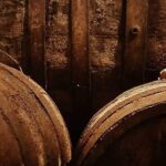 Aveiro Bike Rental - 5/8 hours - The Journey Through Aveiro