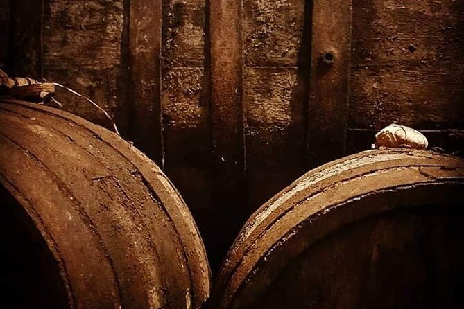 Aveiro Bike Rental - 5/8 hours - The Journey Through Aveiro