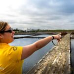 Aveiro: City Tour, Ovos Moles Workshop, and Boat Cruise - Practical Considerations and Value