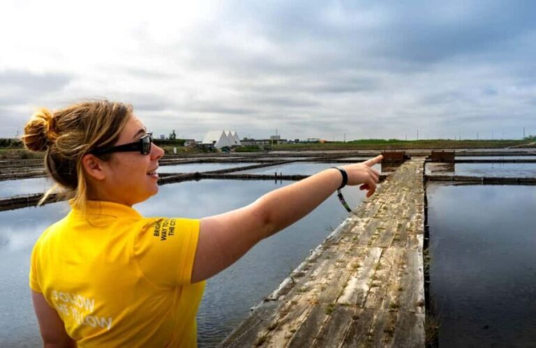 Aveiro: City Tour, Ovos Moles Workshop, and Boat Cruise - Practical Considerations and Value