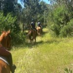 Aveiro: Horse Riding Experience with Instructor - What to Expect from Your Horse Riding Adventure