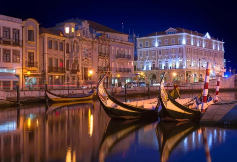 Aveiro: Moliceiro Boat Tour - The Highlights of the Tour