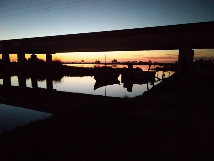 Aveiro: Walking Tour, Boat Cruise, Sweets & Church Entrance - What to Expect and How to Prepare