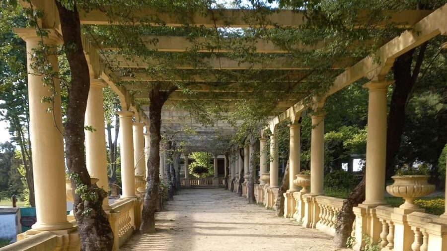 Aveiro Walking Tour (with a certified guide. Sweet included) - What to Expect During the Tour