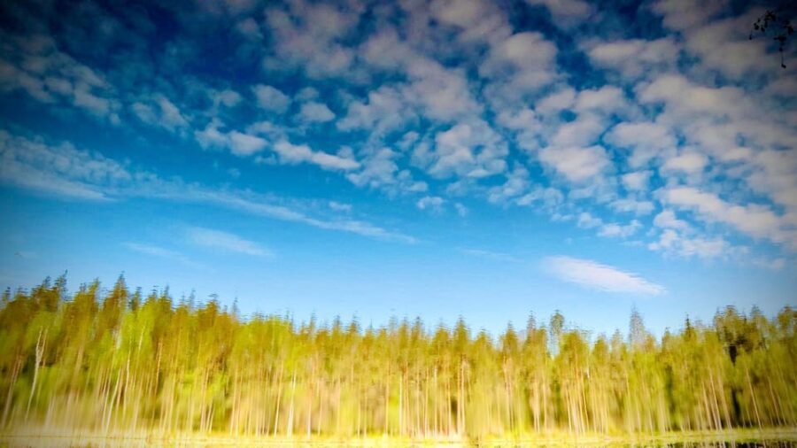 Awakening five senses in Finnish Nature (+traditional sauna) - FAQ