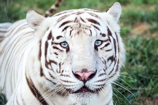 Awareness Tour - What You’ll Learn and See