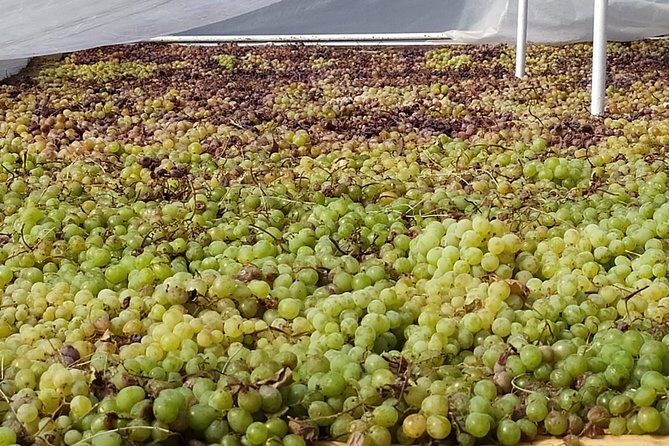 Axarquia VIP Wine Tour with Gourmet Winery Lunch Experience - Frequently Asked Questions