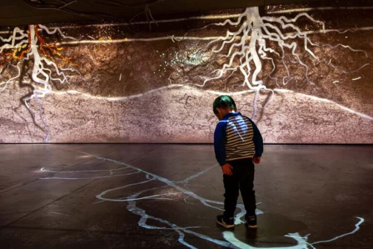 Aÿ-Champagne: Pressoria Champagne Museum with Tasting - The Exhibits and Learning Experience