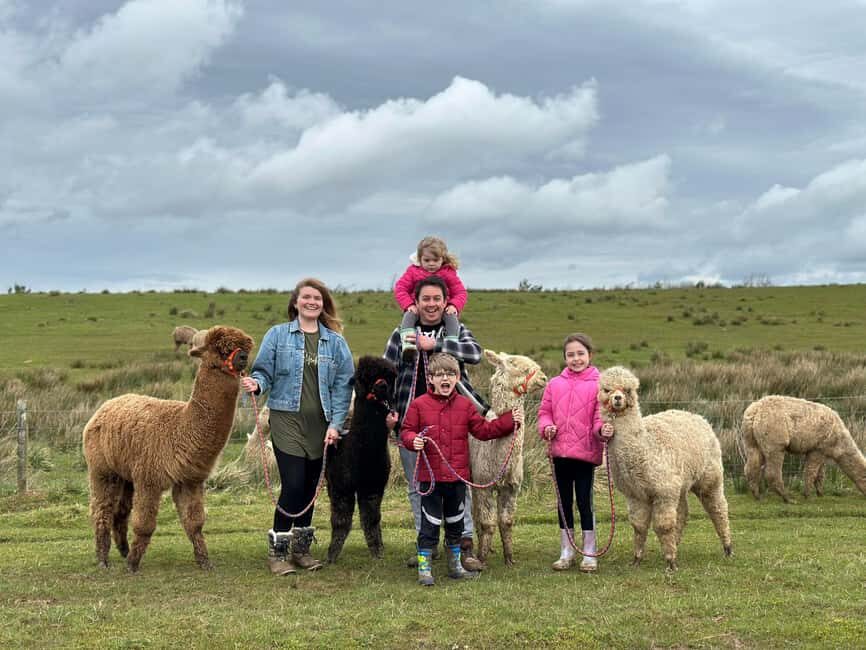 Ayrshire: Alpacas of Scotland Entry Ticket - Who Should Consider This Tour?