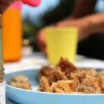 Azores Beekeeping Experience and Honey Tasting - A Deep Dive into the Beekeeping Adventure