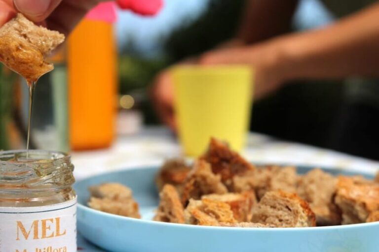 Azores Beekeeping Experience and Honey Tasting - A Deep Dive into the Beekeeping Adventure