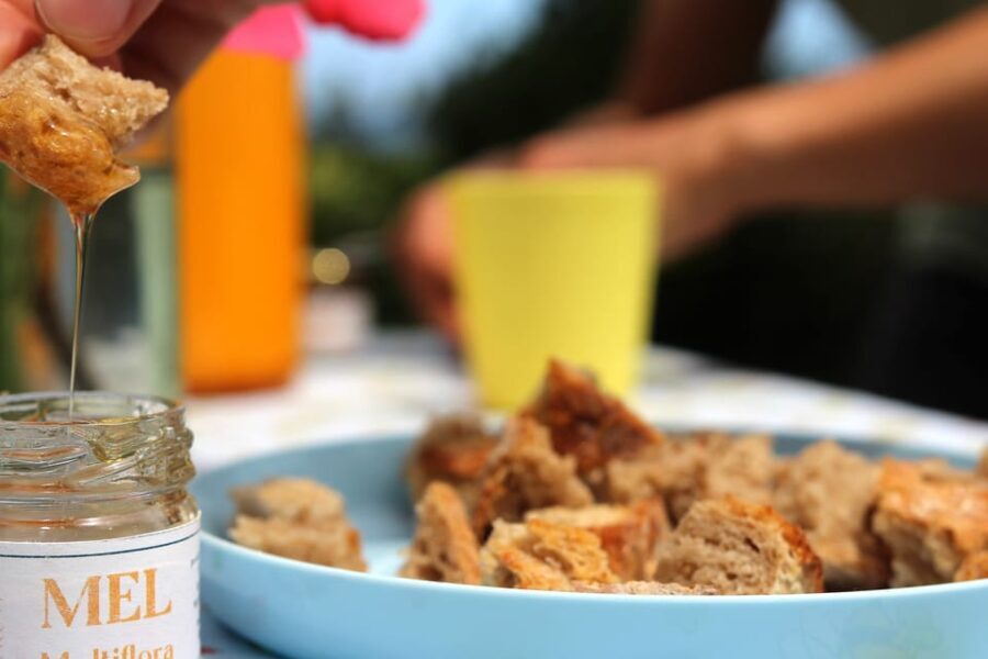 Azores Beekeeping Experience and Honey Tasting - A Deep Dive into the Beekeeping Adventure