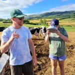 Azores: Half-Day Dairy Farm Tour - What the Tour Entails: A Detailed Breakdown