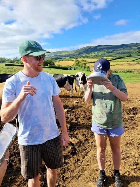 Azores: Half-Day Dairy Farm Tour - What the Tour Entails: A Detailed Breakdown