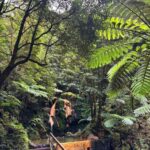 Azores: Janela do Inferno, Caldeira Velha Guided Hiking Tour - The Practical Details