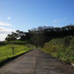 Azores: São Miguel and Lagoa do Fogo Hiking Trip - Key Points