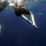 Azores: Swim with Dolphins Atlantic Experience - Who Is This Tour Best Suited For?