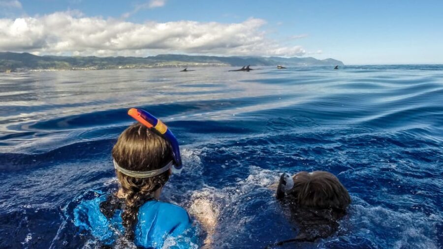 Azores: Swim with Dolphins Atlantic Experience - Equipment and Inclusions