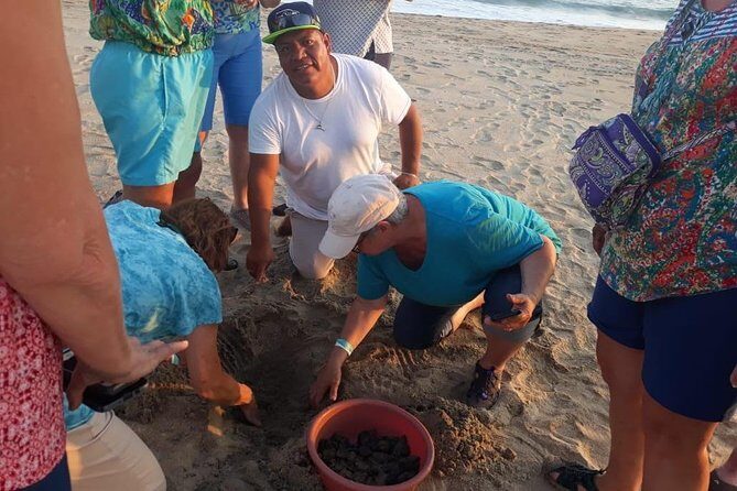 Baby Turtle Release in Coyote Escobilla Beach - The Journey: Expectations and Realities