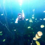 Bacalar: Magnificent Bacalar Lagoon Exclusive Boat Tour - What You Can Expect from the Tour Itself