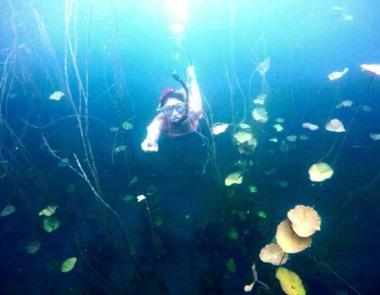 Bacalar: Magnificent Bacalar Lagoon Exclusive Boat Tour - What You Can Expect from the Tour Itself