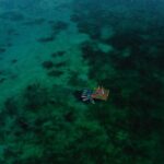 Bacalar Yoga Class on Floating Platform in Laguna - The Real Reviews: What Travelers Are Saying