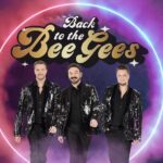 Back to the Bee Gees - Key Points