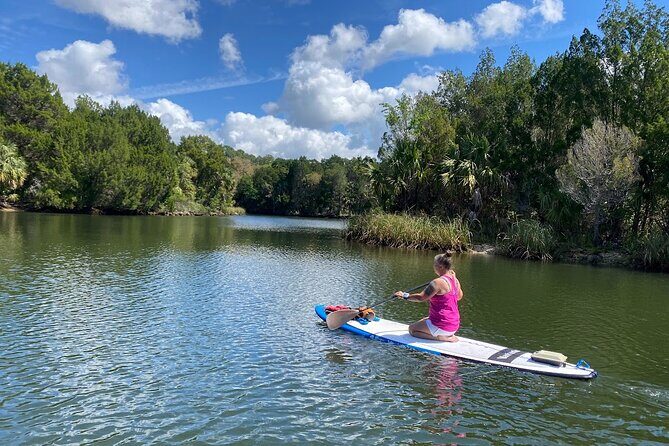 Backland Alligator Electric Paddle Tour - Why Choose a Motorized Kayak?