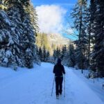 Bad Goisern: Snowshoe Tour in a Pine Forest With Panorama - The Itinerary Breakdown