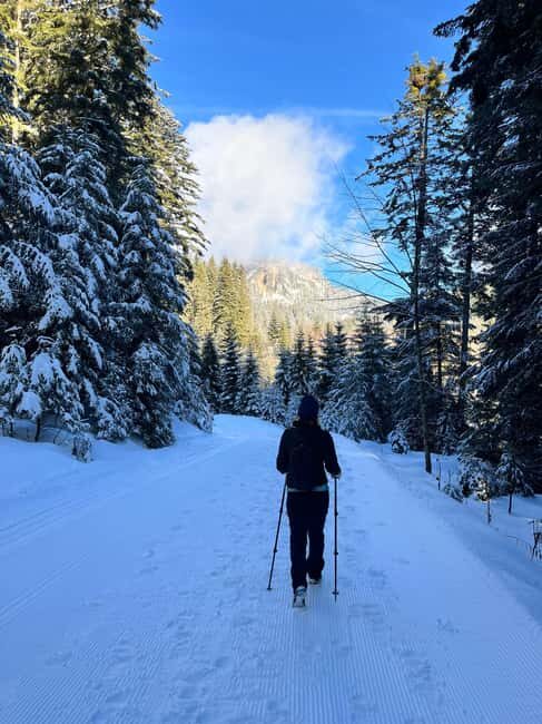 Bad Goisern: Snowshoe Tour in a Pine Forest With Panorama - The Itinerary Breakdown