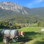 Bad Reichenhall: E-bike Panorama and Beer Garden Tour - Who Should Consider This Tour?
