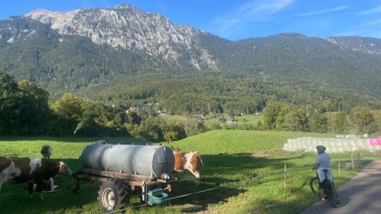 Bad Reichenhall: E-bike Panorama and Beer Garden Tour - Who Should Consider This Tour?