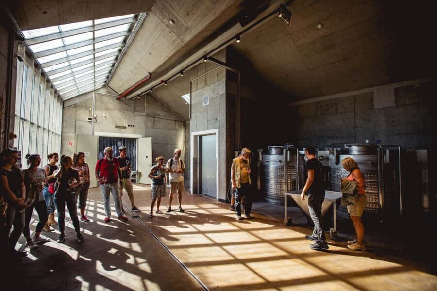 Badacsonytomaj: Pátzay Estate Wine Tasting and Tour - Final Thoughts